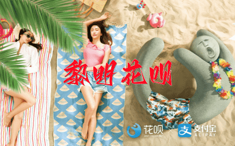 搏虎一撮花呗